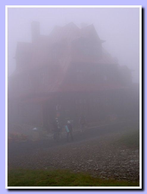 PICT8447